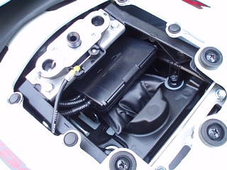 20090429_05.jpg