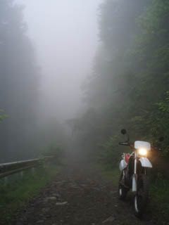 20090619_03.jpg