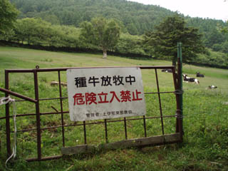 20090705_08.jpg