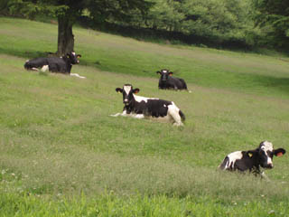 20090705_09.jpg