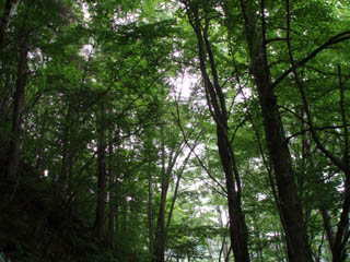 20090705_20.jpg