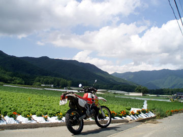 20090721_00.jpg