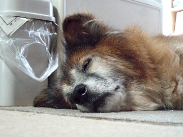 20090815_02.jpg