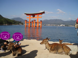 20090920_08.jpg