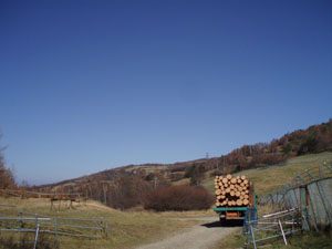 20091031_05.jpg