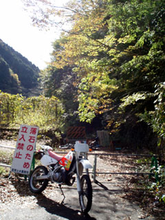 20091103_06.jpg