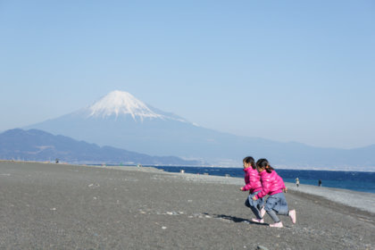 20100109_13c.jpg