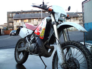 20100117_04.jpg