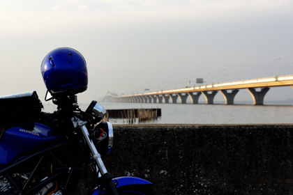 20100205_07.jpg