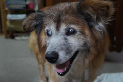20100704_00.jpg