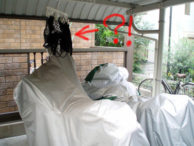 20100801.jpg