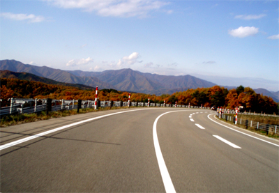 20101106_004.jpg