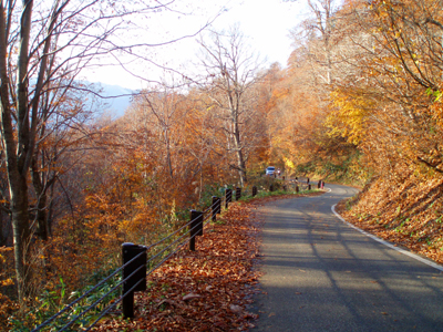 20101106_005.jpg