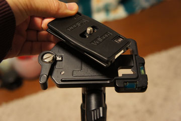 20110208_03.jpg