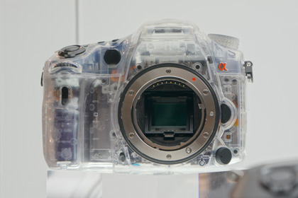 20110211_02.jpg