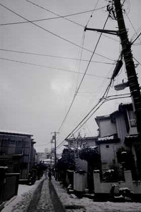 20110215_00d.jpg