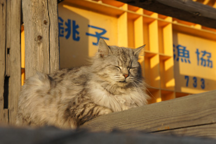 20110226_08.jpg
