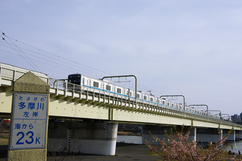 小田急と多摩川