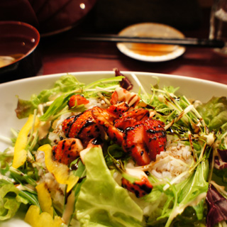 20110324b.jpg