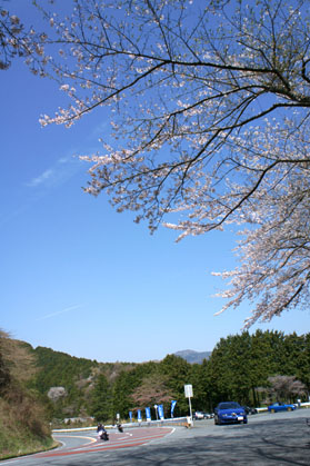 20110417_01.jpg