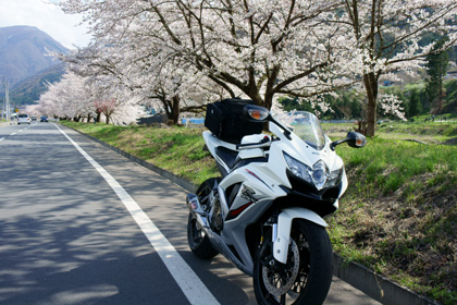 20110429_09.jpg