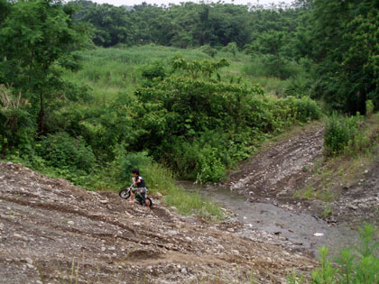 20110612_01b.jpg