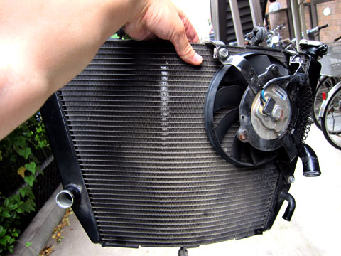 20110625_01.jpg