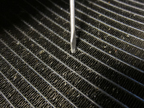 20110625_02.jpg