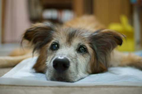 20110917_04b.jpg