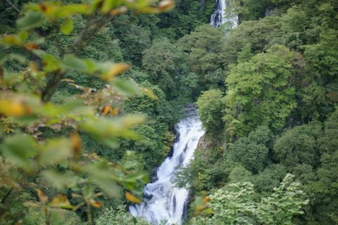 20110924_12.JPG