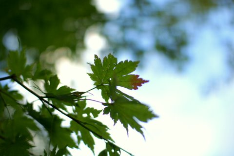 20110924_13.JPG