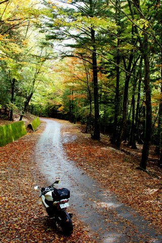 20111023_04.JPG