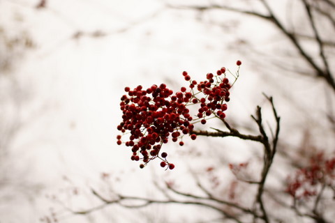 20111023_07.JPG