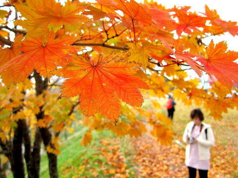 20111023_09.JPG