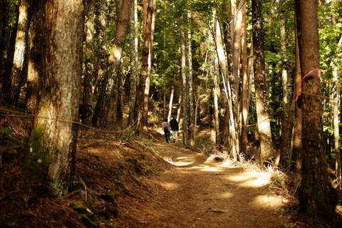 20111023_10.JPG