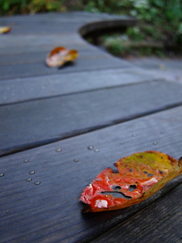 20111029_01.JPG
