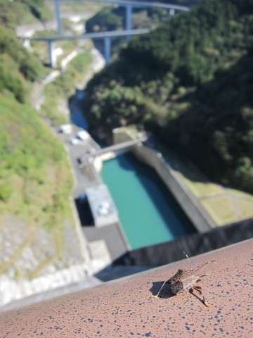 20111029_06.JPG