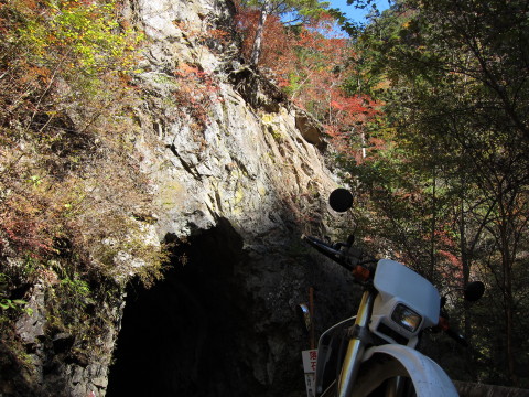 20111029_08.JPG