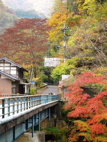 20111105_01.JPG