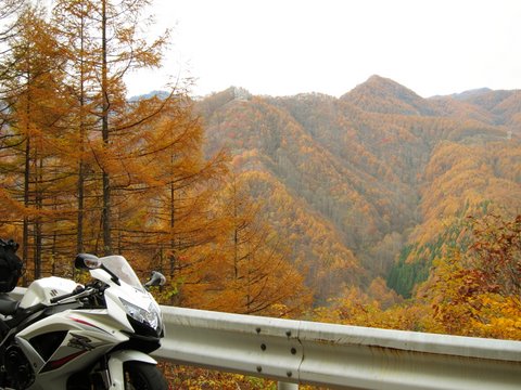 20111105_02.JPG