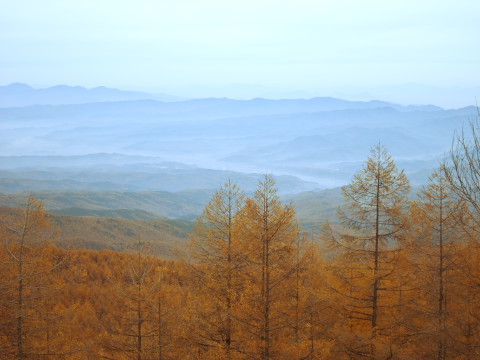 20111105_04_4.jpg