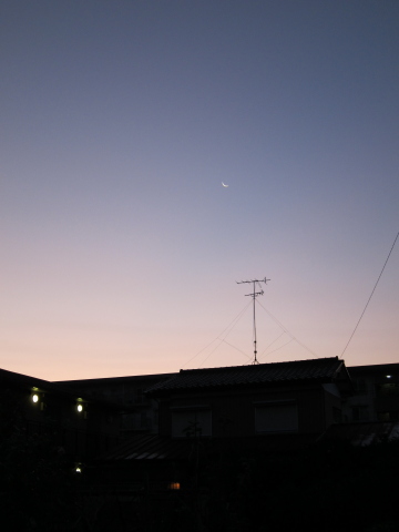 20111123_01.JPG