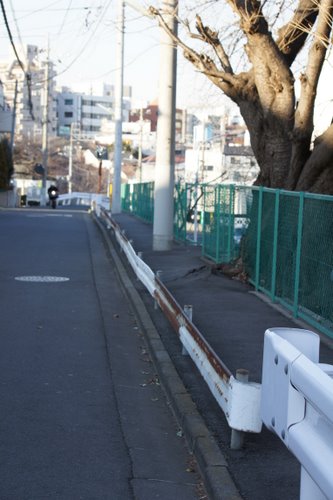 20120204_02.JPG