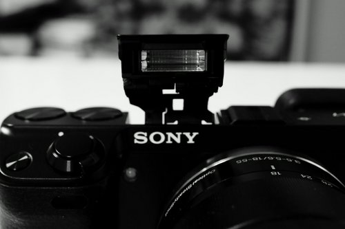 20120226_02.JPG