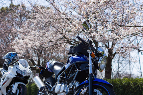 20120407_00.jpg