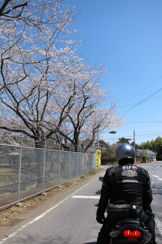 20120407_01.jpg