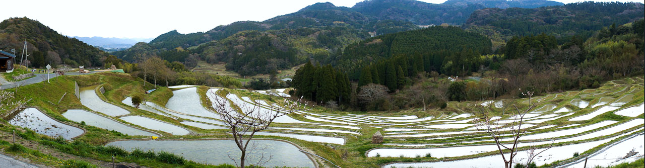 20120407_07.jpg