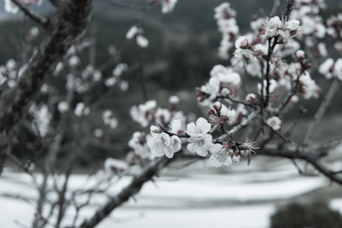 20120407_08.jpg