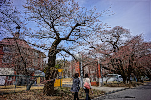 20120421_01.jpg