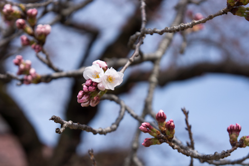 20120421_02.jpg
